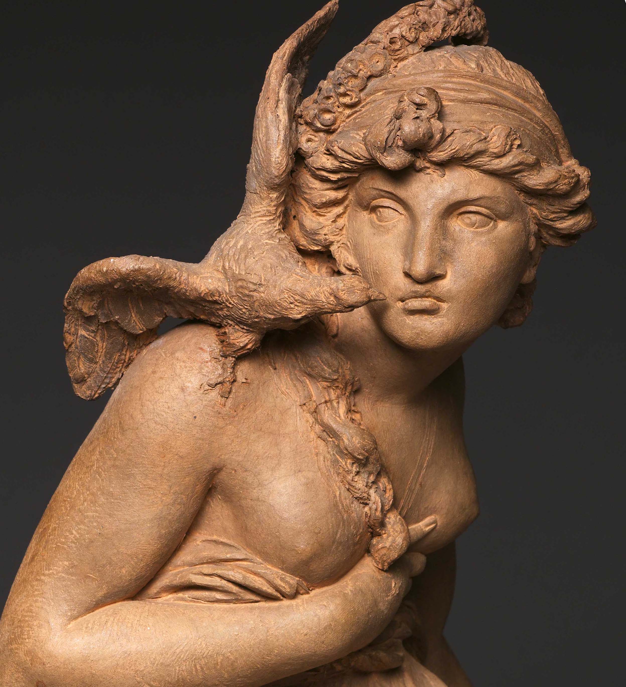 Extraordinarily Beautiful